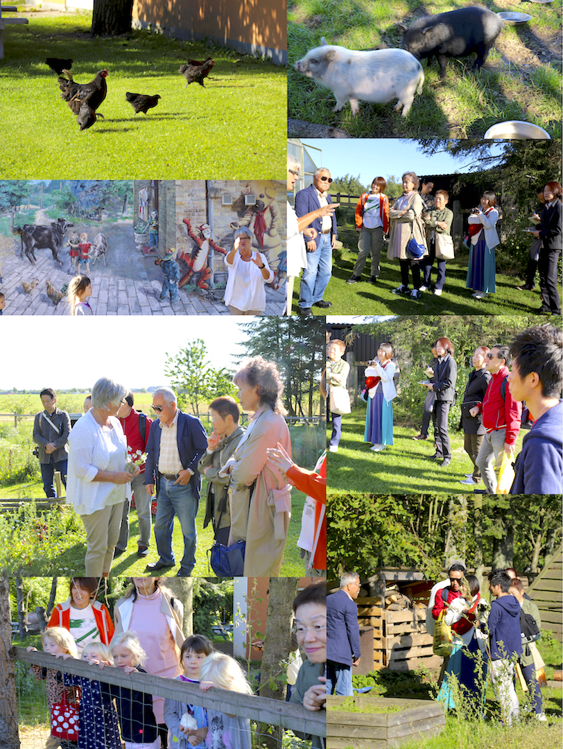 森の幼稚園 見学風景