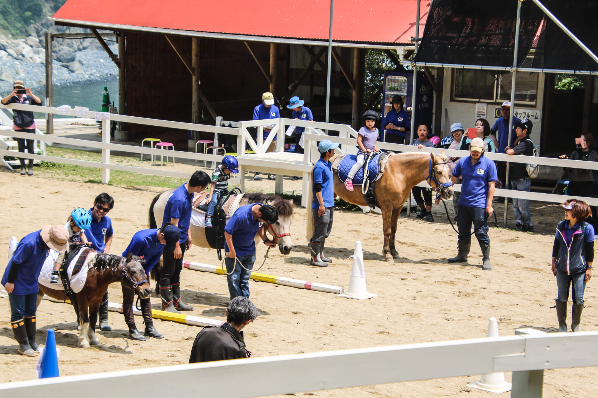うまフェスティバル2018の写真