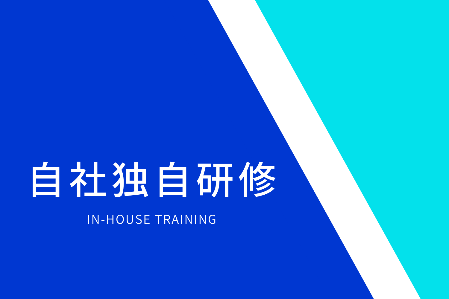 IN-HOUSE TRAINING