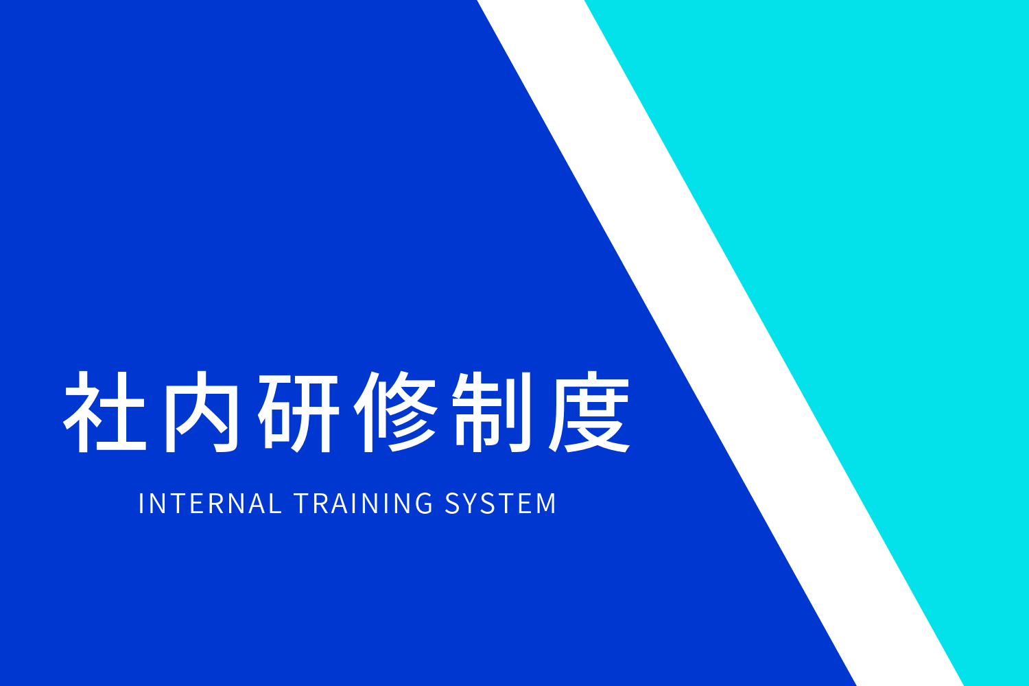 INTERNAL TRAINING SYSTEM